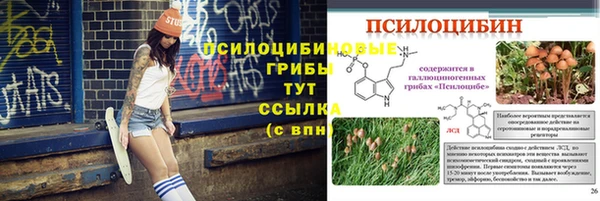 spice Коряжма