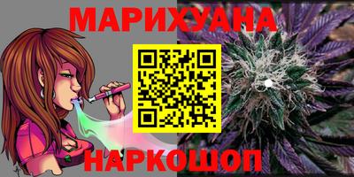 индика Заводоуковск