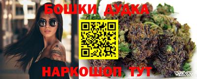 индика Заводоуковск