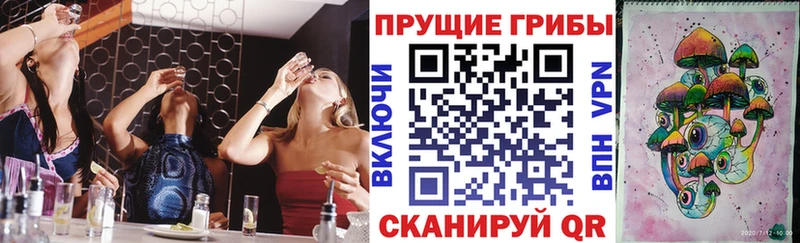 Псилоцибиновые грибы GOLDEN TEACHER  Псков 