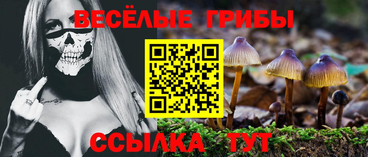 Галлюциногенные грибы мухоморы Псков