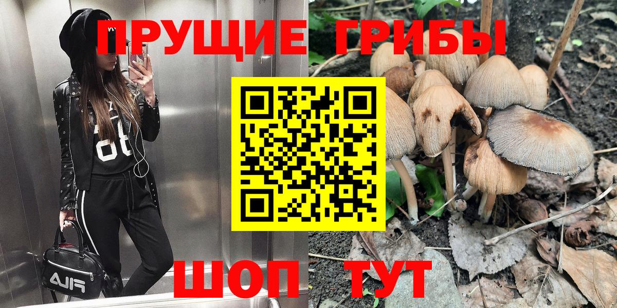 Псков  Псилоцибиновые грибы Cubensis  Вход с VPN 